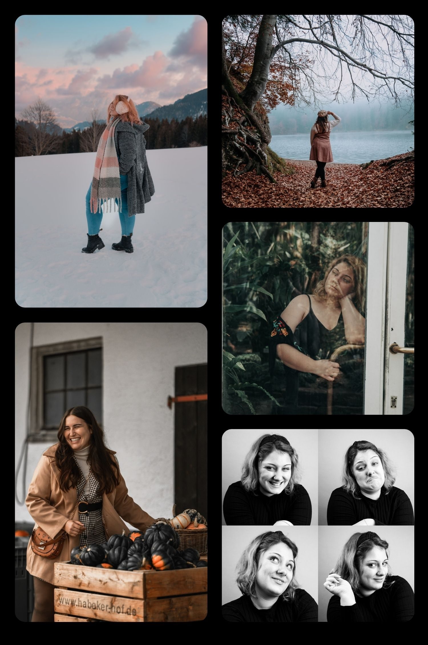 Fotografie-Showcase
